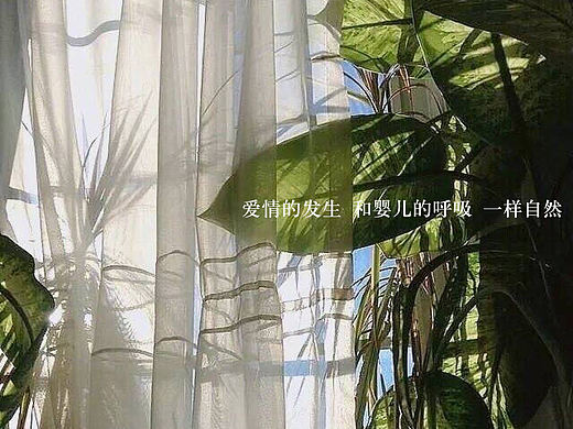 文字（个人主页-ZMjYwNTEyOTY=） - 其他 - 站酷设计师白蝴蝶树原创素材 - 站酷ZCOOL