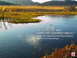 湿地