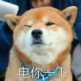 nekoguru的头像