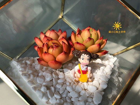 粘土多肉—红颜蜜语（个人主页-ZNDk5Njg2MjQ=） - 其他手工艺 - 站酷设计师梁小江粘土手作原创素材 - 站酷ZCOOL