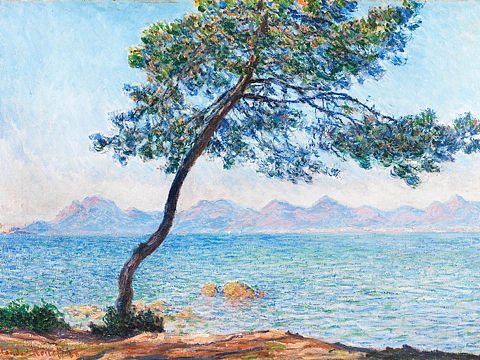 北京梵高成人画室～分享油画