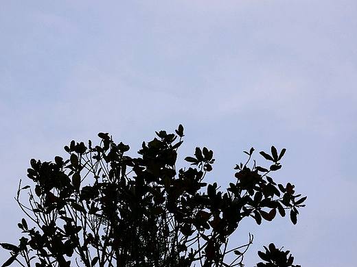 five（个人主页-ZMzUxODExODQ=） - 其他 - 站酷设计师Jinliangyu原创素材 - 站酷ZCOOL