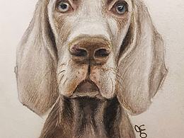 彩铅画了个小RoRo