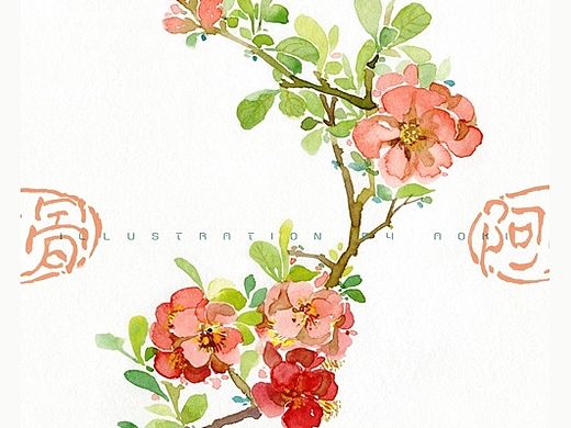 手绘花卉系列——《花之镜Ⅰ》