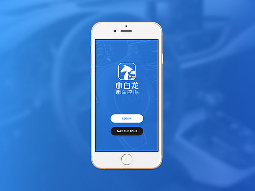 小白龙理车平台Logo和平面KV提案