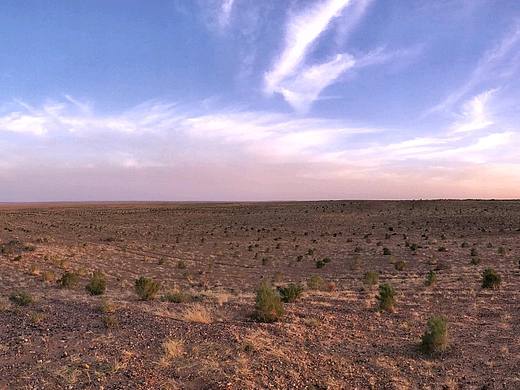 螞蟻森林后續(xù)（個(gè)人主頁(yè)-ZMjYzNzM3NzY=） - 風(fēng)光攝影 - 站酷設(shè)計(jì)師創(chuàng)客小武_Design原創(chuàng)素材 - 站酷ZCOOL