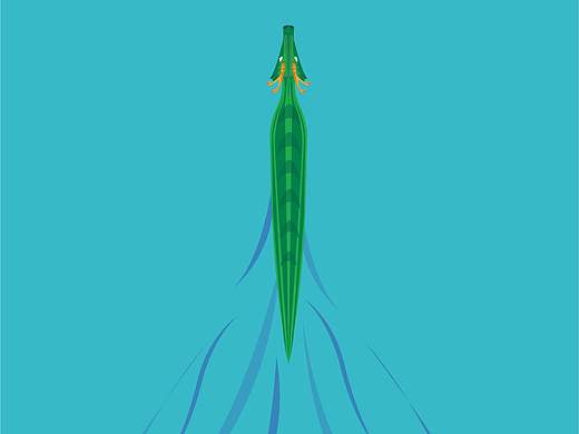 端午，我画到条黄瓜（个人主页-ZMzQwMDI0ODA=） - 艺术插画 - 站酷设计师烂潮原创素材 - 站酷ZCOOL