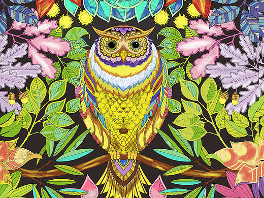 我的秘密花园作品