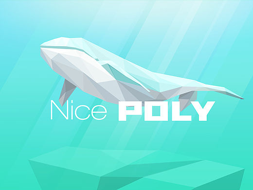 Nice poly