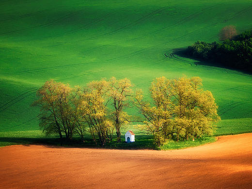 Rolling Hills in Moravia