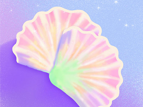 不写实的贝壳