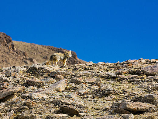 纳木错风光（二）