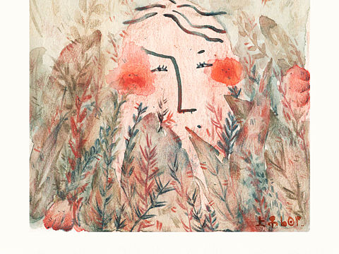 find and ANIMISM