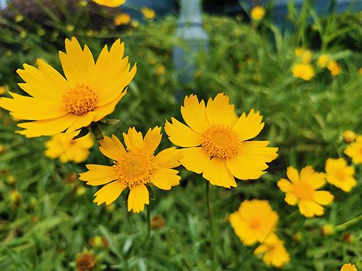 清远英西峰林之行