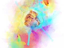 OY插画：鱼猫物语（2）