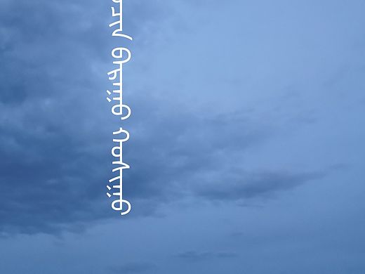 陈巴尔虎旗