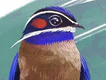 小练习（个人主页-ZMTYzMjk3MDA=） - 创作习作 - 站酷设计师阿洁洁原创素材 - 站酷ZCOOL