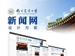 政府类网站