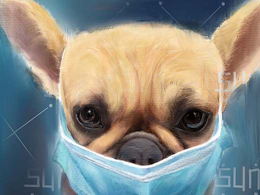 宠物头像创作（个人主页-ZNTEyMTM2Mjg=） - 新锐潮流插画 - 站酷设计师行走的LH原创素材 - 站酷ZCOOL