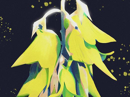 植物插画