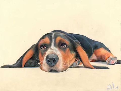 彩鉛。霹靂馬。小狗（個(gè)人主頁(yè)-ZMjMwNzcyNjg=） - 繪畫 - 站酷設(shè)計(jì)師彩鉛蝸牛原創(chuàng)素材 - 站酷ZCOOL