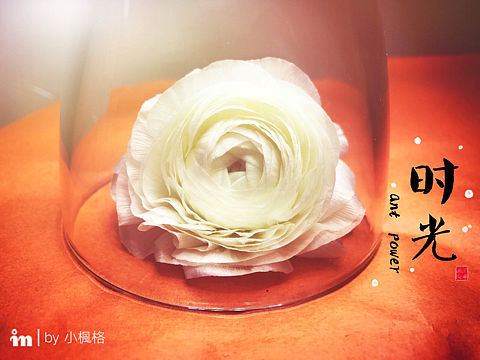 花语