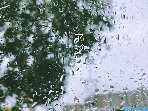 来不及（个人主页-ZMzAzODM4NDQ=） - 人文/纪实摄影 - 站酷设计师冷面呆呆原创素材 - 站酷ZCOOL