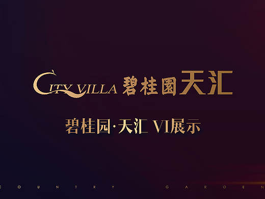 地产vi飞机稿