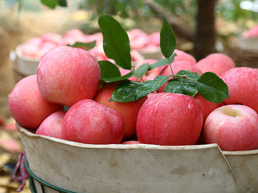 淘宝 天猫 苹果水果详情设计