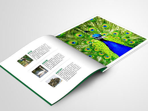 一本农产品画册