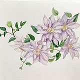 卡卡木牙的头像