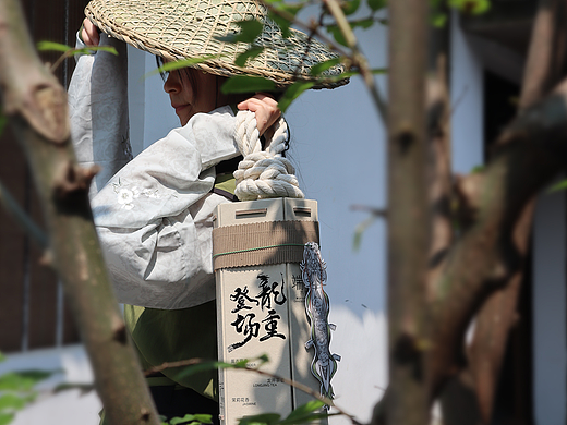 造物起异 龙粽登场 端午文创榫卯礼粽 设计落地