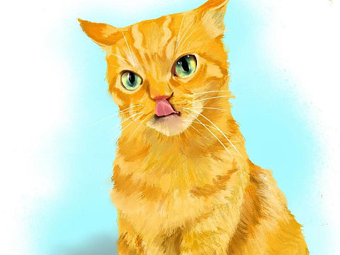 猫厚涂作品