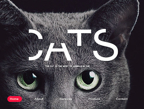 貓貓狗狗頁面練習（個人主頁-ZMjA4NDI2MTI=） - 企業(yè)官網 - 站酷設計師Catmiaomiaomiao原創(chuàng)素材 - 站酷ZCOOL