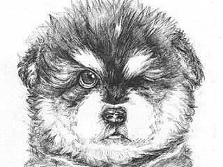 硬笔插画~~就喜欢推着画~~