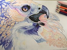 威海明天传媒·手绘· ying