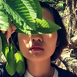 张析析的头像