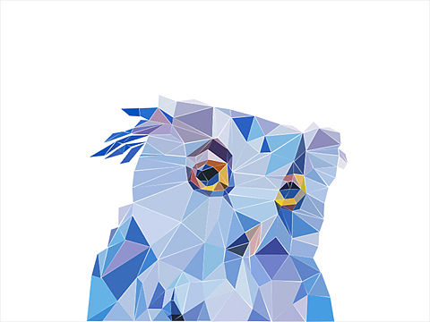 多边形猫头鹰插画