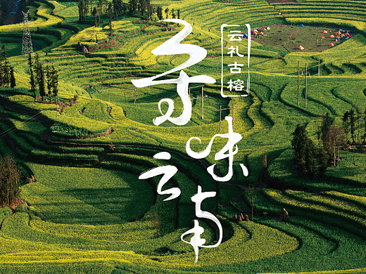 寻味云南字体设计（个人主页-ZMTU3MzUzODQ=） - 字体/字形 - 站酷设计师嘻嘻渣渣原创素材 - 站酷ZCOOL