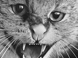 Leo（個(gè)人主頁-ZMTgyODc4NA==） - 商業(yè)插畫 - 站酷設(shè)計(jì)師東京未明原創(chuàng)素材 - 站酷ZCOOL