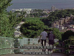 郎中给了我一张方子，让我慢慢煎煮