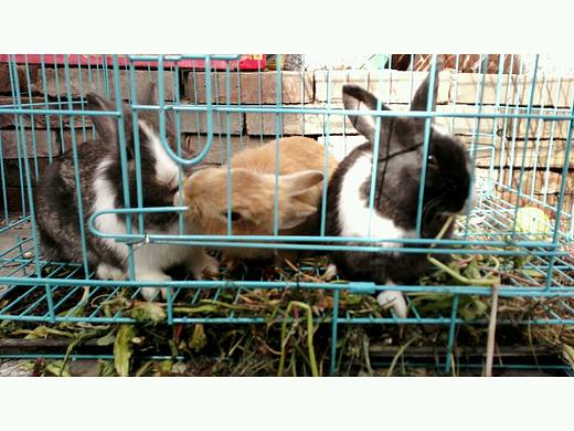 凤凰岭之游（个人主页-ZMTYxNDMxNzY=） - 风光摄影 - 站酷设计师Eloise0813原创素材 - 站酷ZCOOL