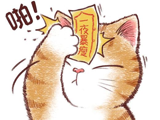 《帖符猫》表情包