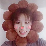 檀斐的头像