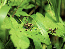 2012.5.6 湖北荆州