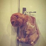 时间走了的头像