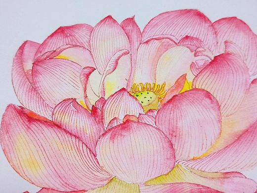 水彩花卉