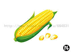玉米|电脑喷绘