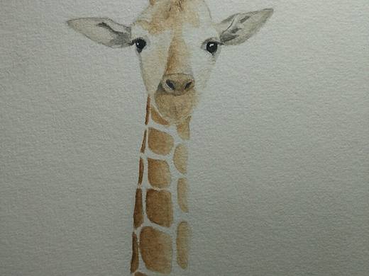 看得更远
