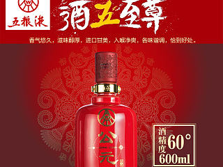 首页 五粮液 白酒公元60度
